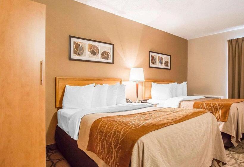 Номер Стандарт 2 Двуспальные Кровати, Comfort Inn