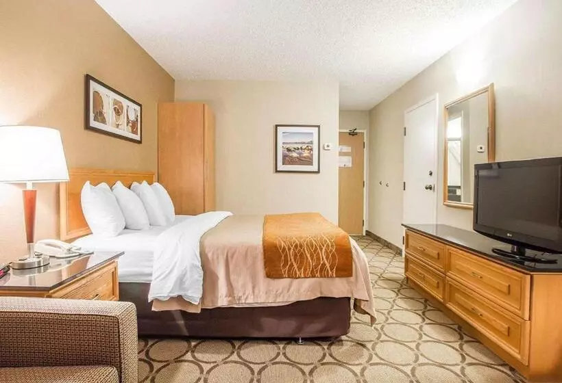 اتاق استاندارد, Comfort Inn