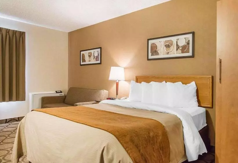 اتاق استاندارد, Comfort Inn