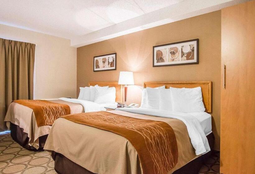 غرفة قياسية بالطابق الأرضى, Comfort Inn