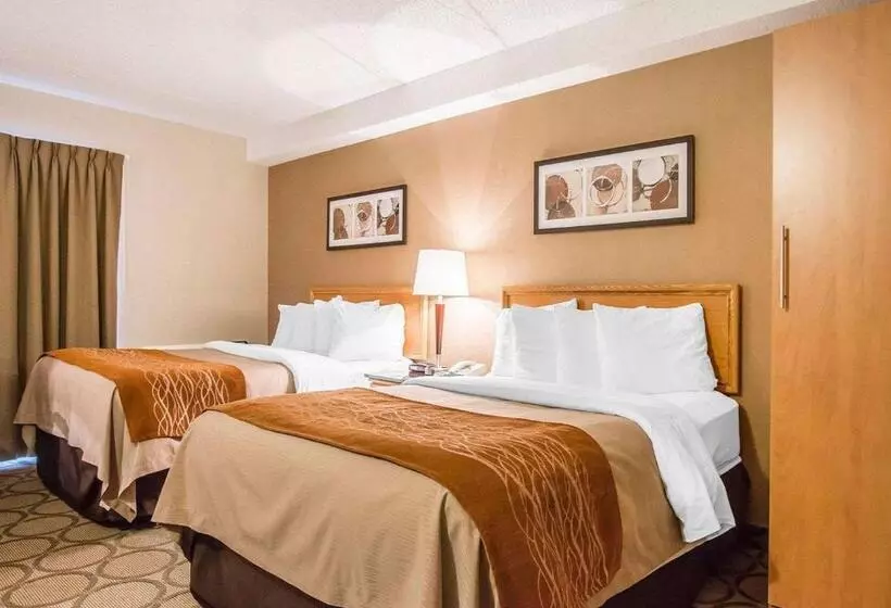 اتاق استاندارد در طبقه همکف, Comfort Inn