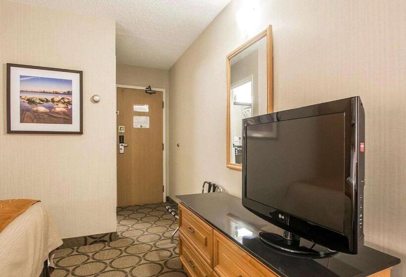 غرفة قياسية بالطابق الأرضى, Comfort Inn