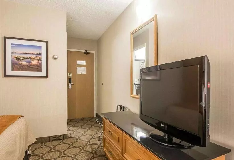 اتاق استاندارد در طبقه همکف, Comfort Inn