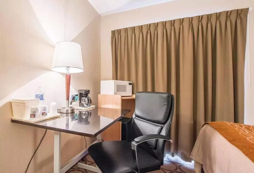 اتاق استاندارد در طبقه همکف, Comfort Inn