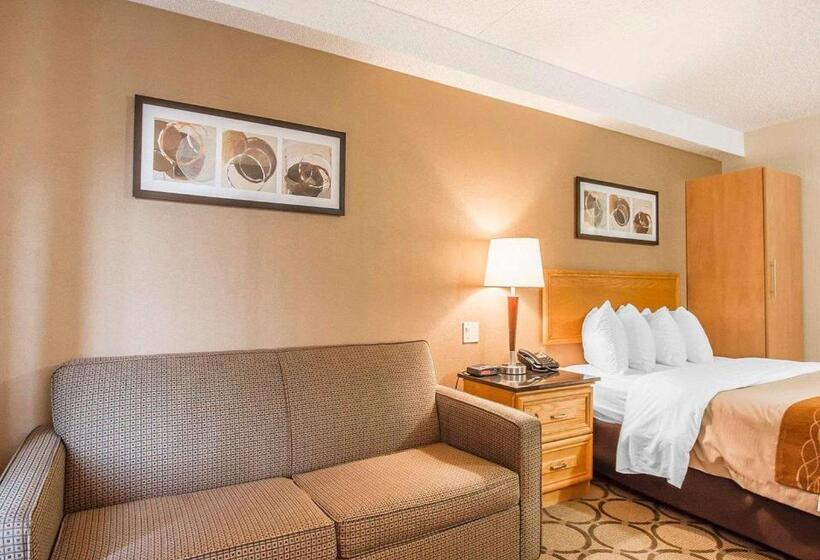 غرفة قياسية بالطابق الأرضى, Comfort Inn