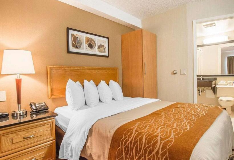 스탠다드 룸 1층, Comfort Inn