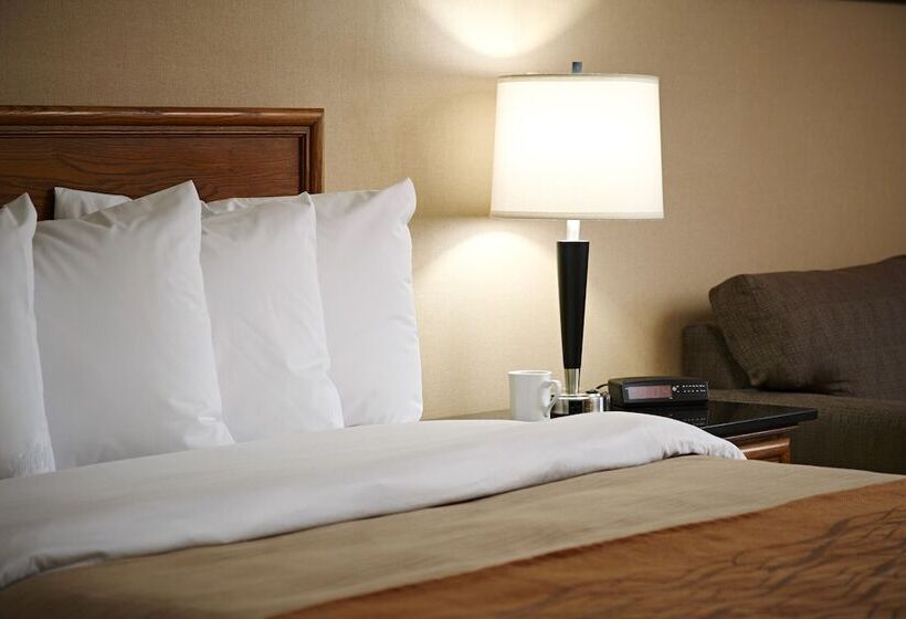 غرفه قياسيه سريرين مزدوجين, Comfort Inn