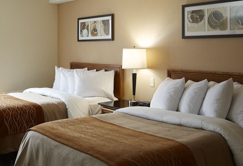 غرفه قياسيه سريرين مزدوجين, Comfort Inn