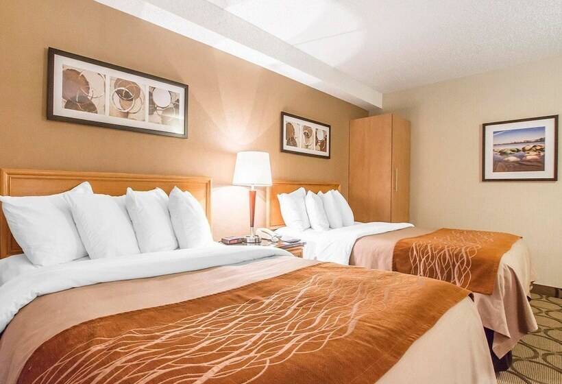 غرفة قياسية بالطابق الأرضى, Comfort Inn