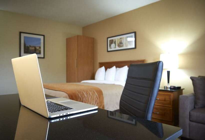 Стандартный Номер Нижний Этаж, Comfort Inn