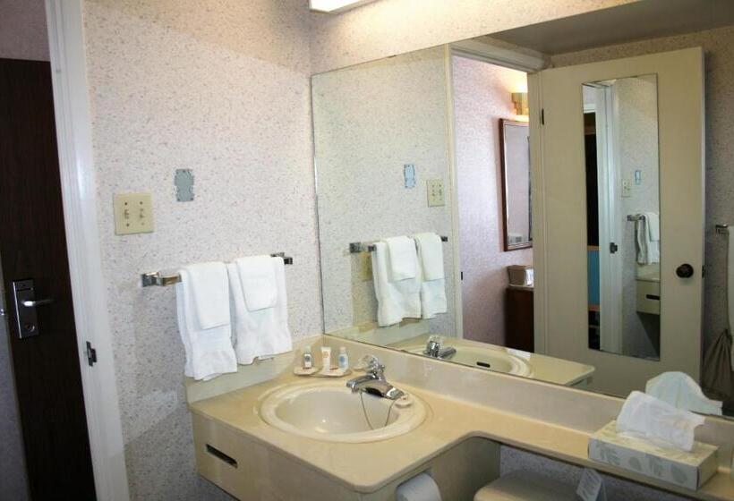 Standard Szoba, Comfort Inn