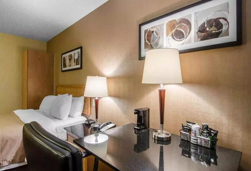 Standard Værelse King Size Seng, Comfort Inn