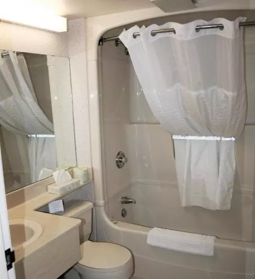 Standard Værelse King Size Seng, Comfort Inn