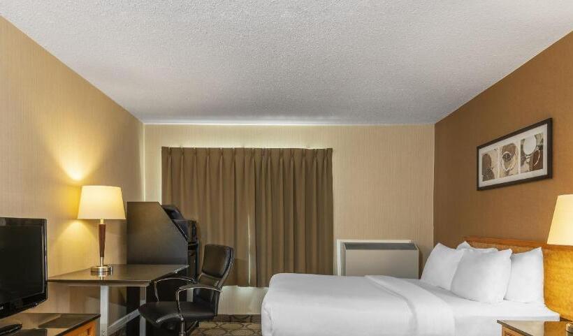 Standard Szoba King Size Bed, Comfort Inn