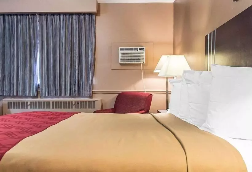 اتاق سوپریور, Econo Lodge Downtown