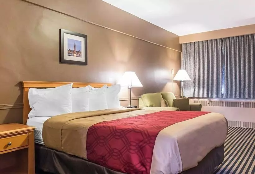 اتاق سوپریور, Econo Lodge Downtown