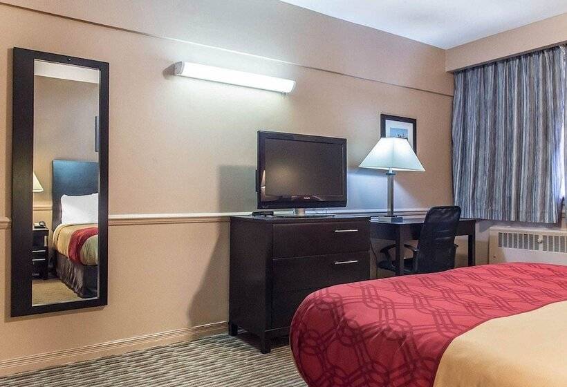 高级大房间, Econo Lodge Downtown