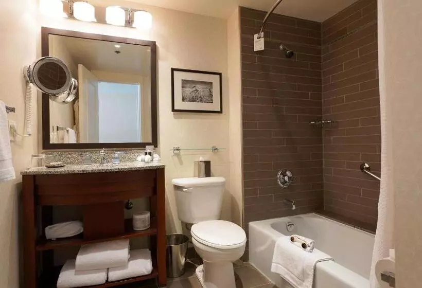 اتاق استاندارد با چشم‌انداز, Fairmont Winnipeg