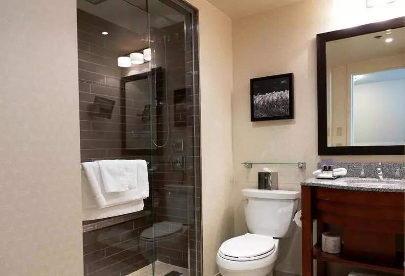 اتاق استاندارد با چشم‌انداز شهر, Fairmont Winnipeg