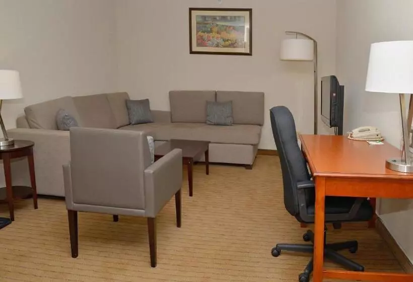 キングサイズベッドのスタンダードルーム, Holiday Inn Hinton, An Ihg