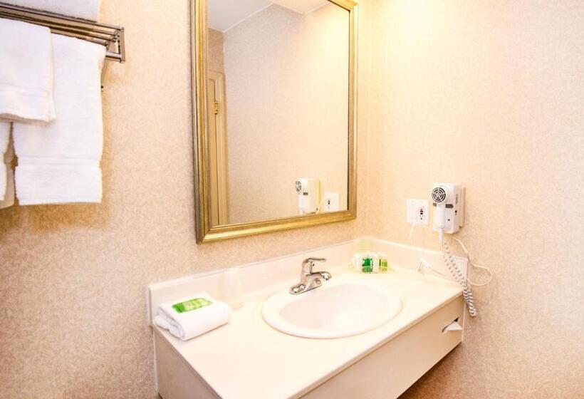 غرفه قياسيه سريرين مزدوجين, Holiday Inn Hinton, An Ihg