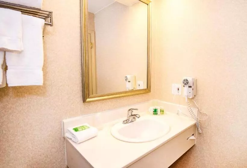 2ダブルベッドのスタンダードルーム, Holiday Inn Hinton, An Ihg