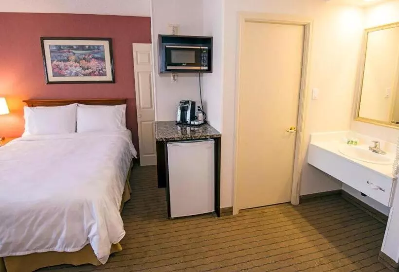 2ダブルベッドのスタンダードルーム, Holiday Inn Hinton, An Ihg