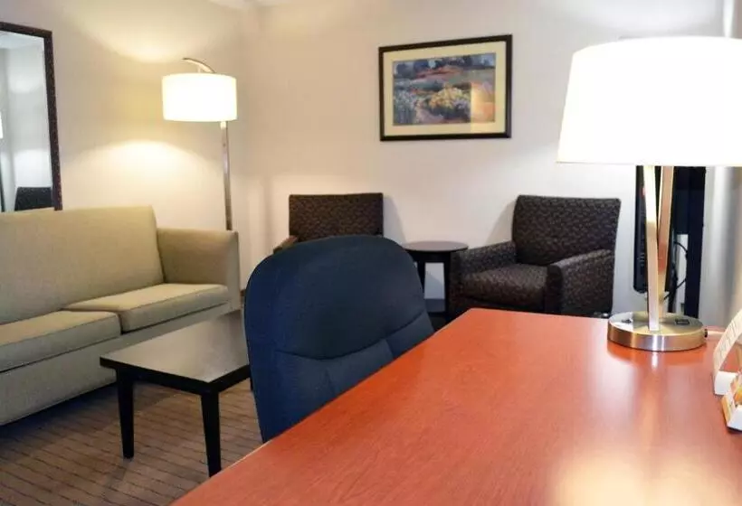 身障者適用キングサイズベッドルーム, Holiday Inn Hinton, An Ihg