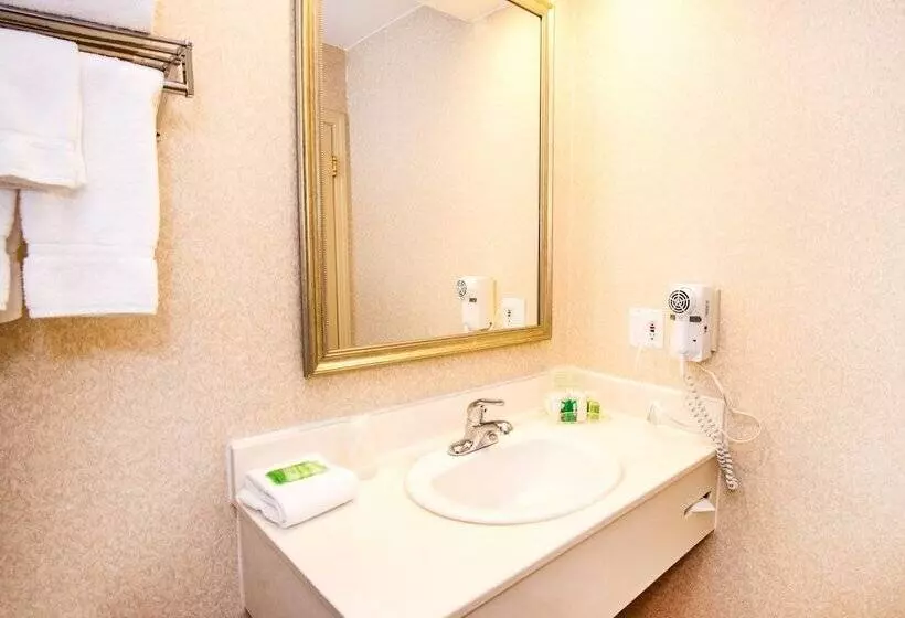 2ダブルベッドのスタンダードルーム, Holiday Inn Hinton, An Ihg