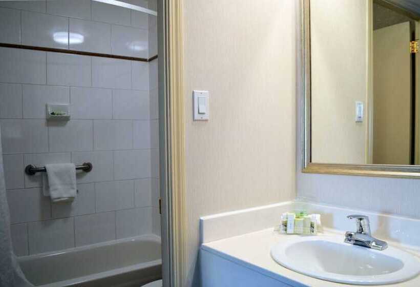 غرفه قياسيه سريرين مزدوجين, Holiday Inn Hinton, An Ihg