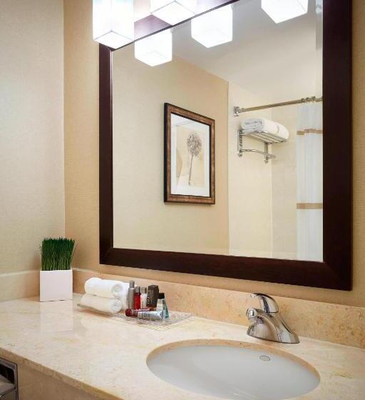 חדר דחוקס עם מיטת קינג, Ottawa Marriott