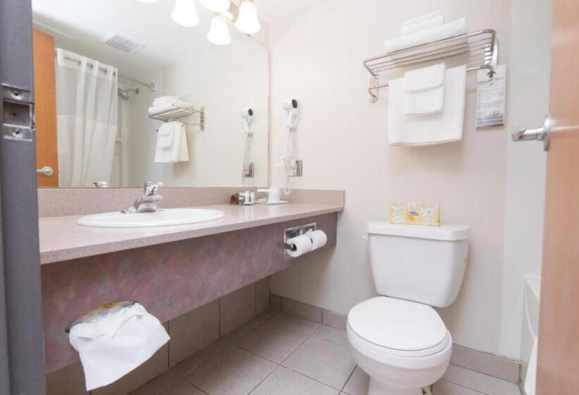 带大床的行政房间, West Wing at Park Town