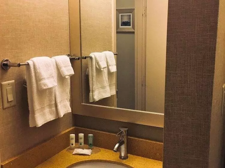 Sviitti Liikuntarajoitteisille, Quality Inn & Suites Windsor Downtown