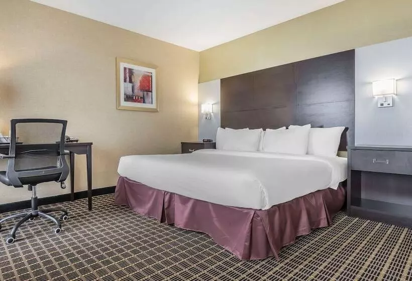 Sviitti Liikuntarajoitteisille, Quality Inn & Suites Windsor Downtown