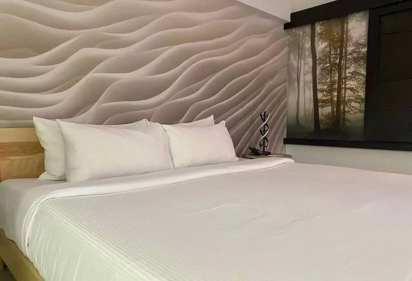 Standard Room Double Bed, Ruby Foo's