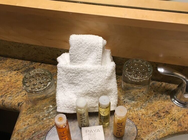 标准工作室, Whistler Village Inn & Suites