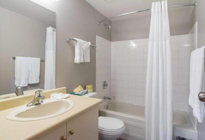 Стандартный Номер Кровать Кинг, Motel 6saanichton, Bc  Victoria Airport