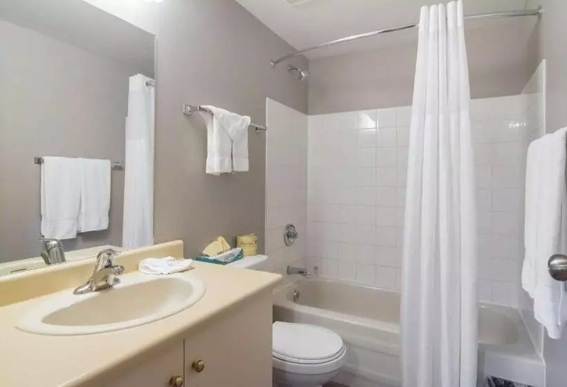 Standard-huone King-vuode, Motel 6saanichton, Bc Victoria Airport