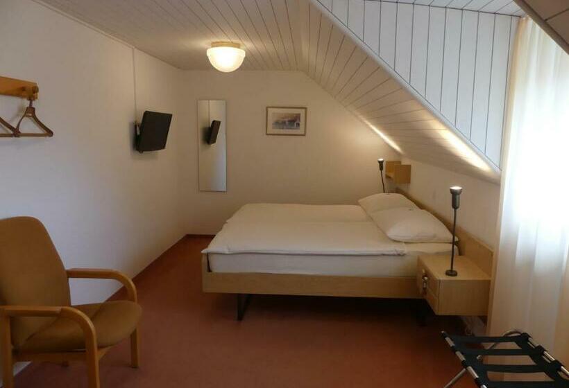 스탠다드 룸, Adler