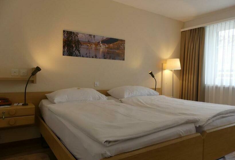 스탠다드 룸, Adler