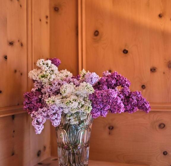 标准间, Chesa Grischuna