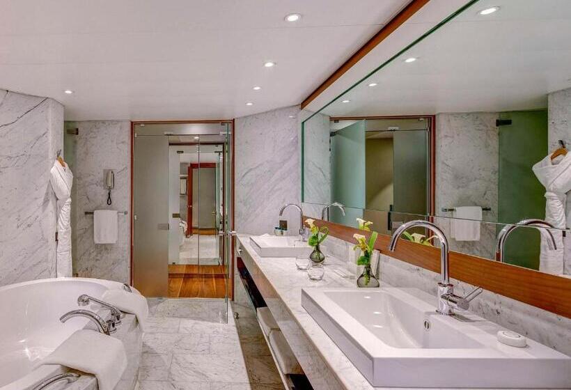 اتاق استاندارد با چشمانداز شهر, Fairmont Grand Hotel Geneva