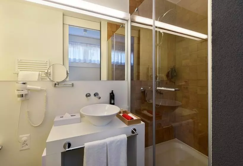 Standard-huone, Home Swiss