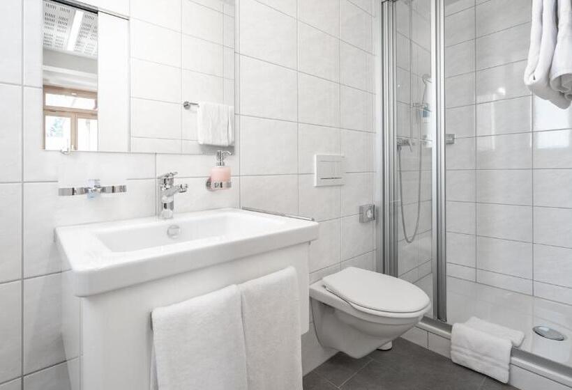 Номер Стандарт, Ochsen By Mountain Hotels