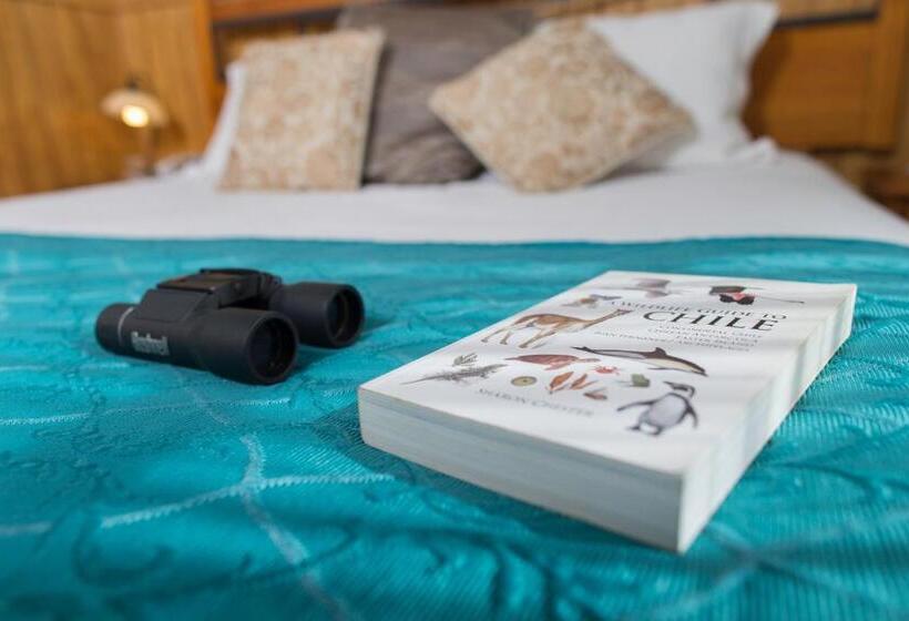 חדר סטנדרט יחיד, Plaza