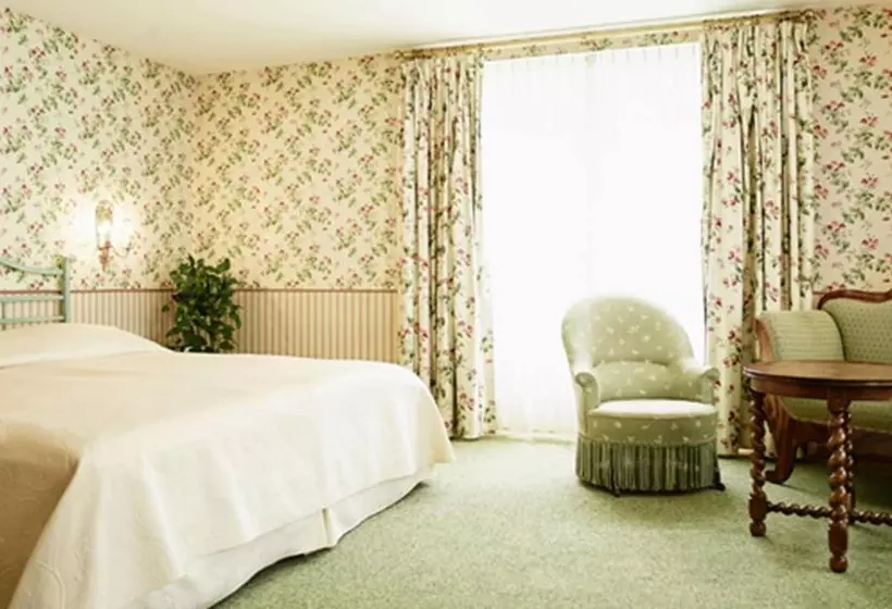 スーペリアールーム, Romantik Hotel Wilden Mann Luzern