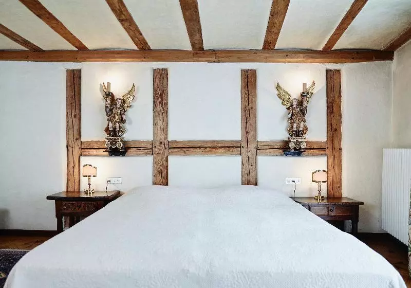 スーペリアールーム, Romantik Hotel Wilden Mann Luzern