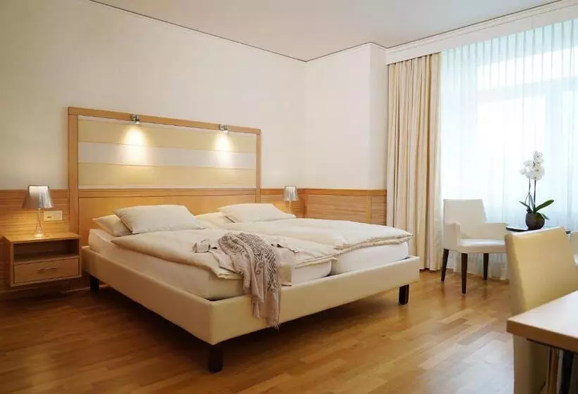 Standard-huone, Park Hotel Am Rhein Gesundheitshotel Und Residenzen