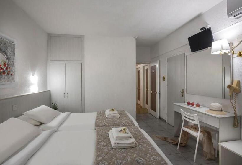 اتاق استاندارد, Cactus