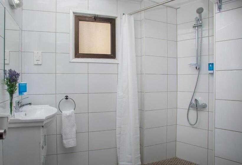 اتاق استاندارد سه نفره, Cactus